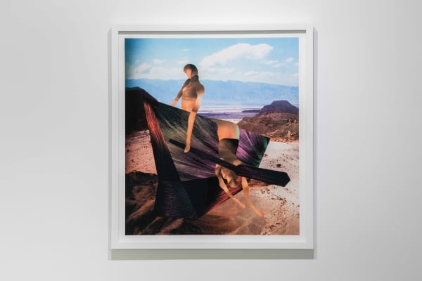 You belong here installation