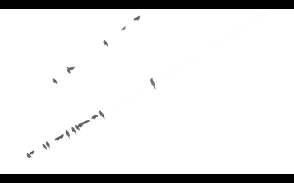 Two Dinosaurs Walk Into a Bar, 2018 HDV, Color and Sound 03:10