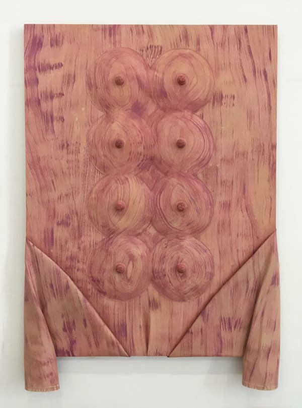 Year of the Pig, 2019 Acrylic on canvas, thread, fiberfill, bolt covers