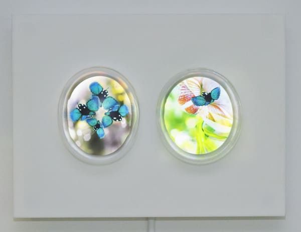 Can Butterflies Fight the Smog in the Sky?, 2016 Single-channel video, 6:40 minutes, looped Hand-blown glass bubble, video screen embedded in white acrylic
