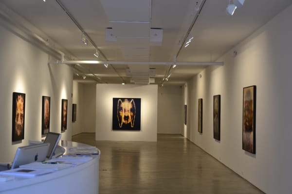 Johan Van Mullem installation