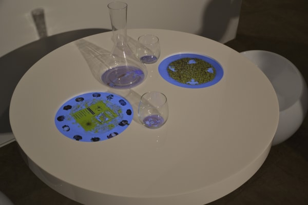 Other voices installation