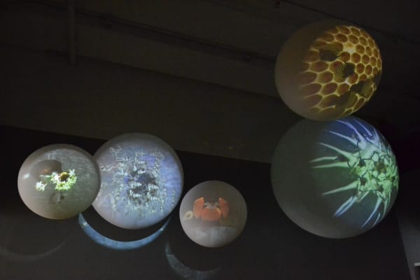 Other voices installation