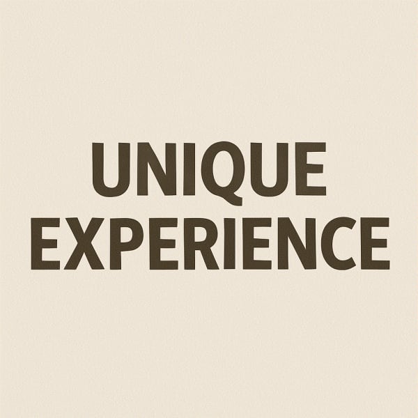 Offer your guests a cultural experience without having to leave the hotel. Our exhibitions are carefully selected to connect with your target audience.