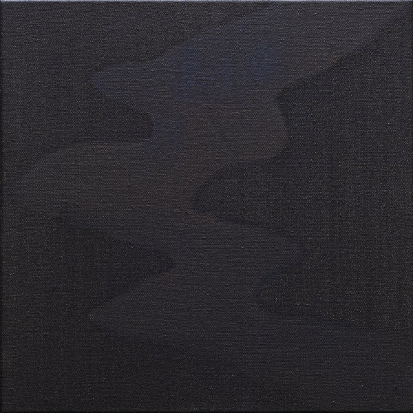 Schattenwandel Nilsnova Crop Hq 1