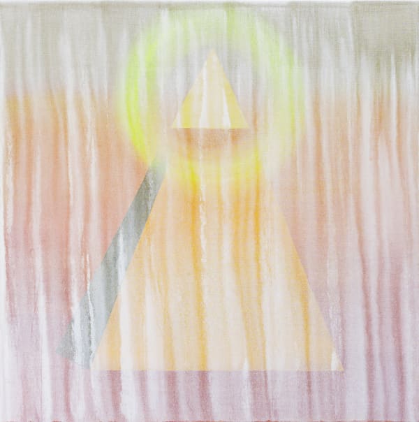 Schattenwandel Nilsnova Crop Hq 2