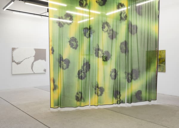 Host Exhibition View Photo Claire Dorn Hd 2