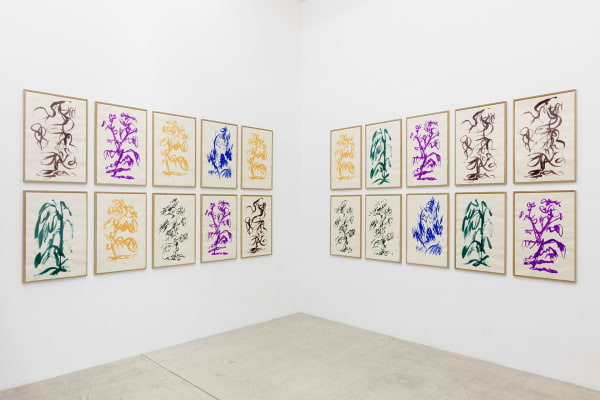 Okazaki Kenjiro 2021 Topica Pictus Rue De Turenne Exhibition View Photo Claire Dorn Bd 10