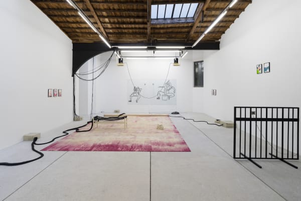 Letroter Anne 2023 Les Pornoplantes Exhibition View Photo Claire Dorn Hd 1