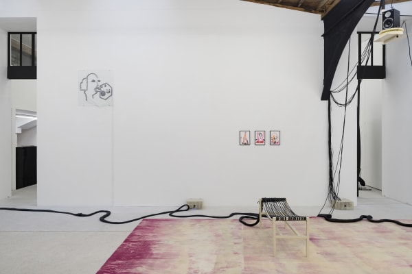 Letroter Anne 2023 Les Pornoplantes Exhibition View Photo Claire Dorn Hd 3