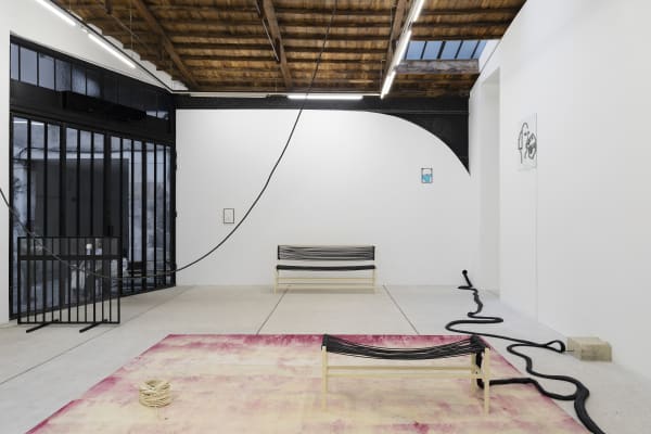 Letroter Anne 2023 Les Pornoplantes Exhibition View Photo Claire Dorn Hd 4