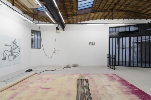 Letroter Anne 2023 Les Pornoplantes Exhibition View Photo Claire Dorn Hd 5