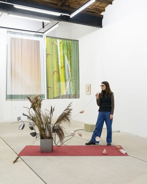 Alt 20242870 Clairedorn Figure Light