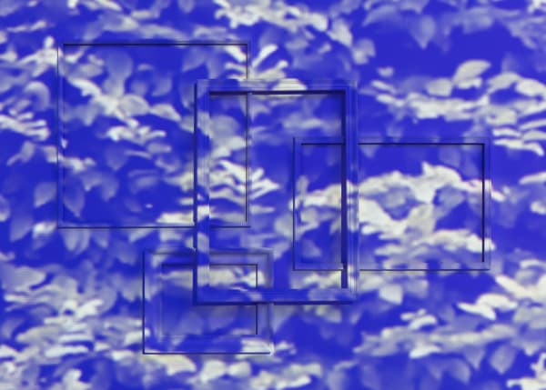 Jatovia Gary 2019 Tactile Cosmologies Installation Views Photos Claire Dorn 10