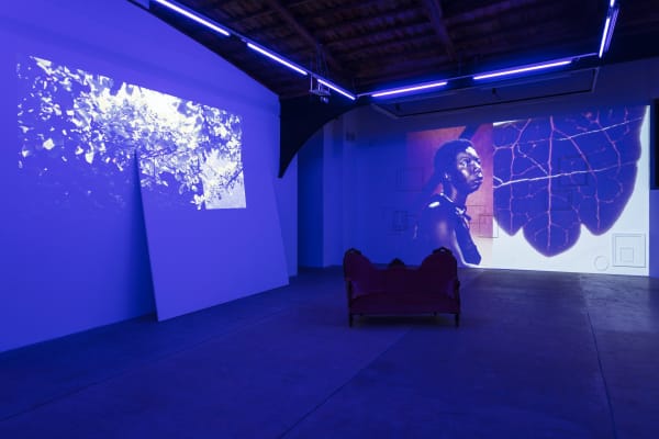 Jatovia Gary 2019 Tactile Cosmologies Installation Views Photos Claire Dorn 12