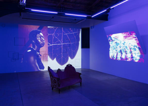 Jatovia Gary 2019 Tactile Cosmologies Installation Views Photos Claire Dorn 13