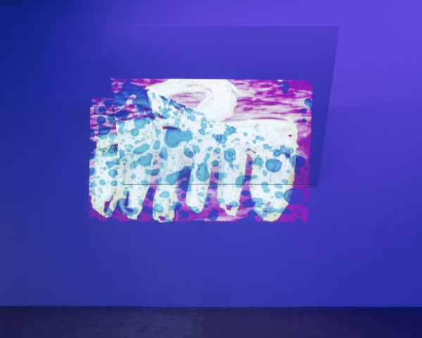 Jatovia Gary 2019 Tactile Cosmologies Installation Views Photos Claire Dorn 15