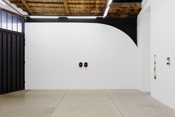 Balula Davide 2018 Outsourced Affects Installation View Photo Claire Dorn 7