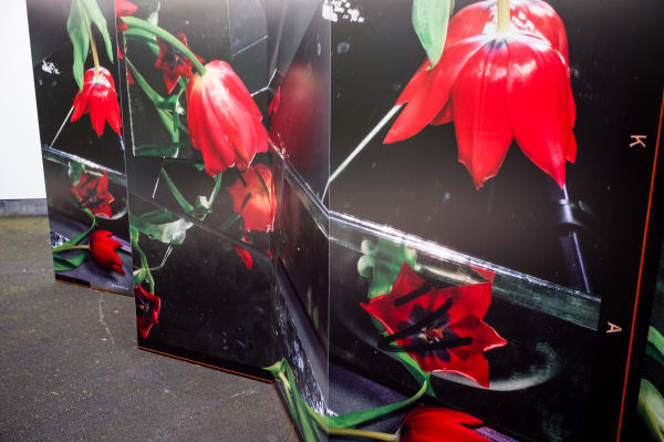 Credits: Ketuta Alexi-Meskhishvili, Tulip Season for Henri (2024), Overview making food out of sunlight by Ketuta Alexi-Meskhishvili, Van Abbemuseum Eindhoven, 2025. Photo by Boudewijn Bollmann