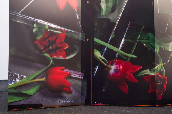 Credits: Ketuta Alexi-Meskhishvili, Tulip Season for Henri (2024), Overview making food out of sunlight by Ketuta Alexi-Meskhishvili, Van Abbemuseum Eindhoven, 2025. Photo by Boudewijn Bollmann