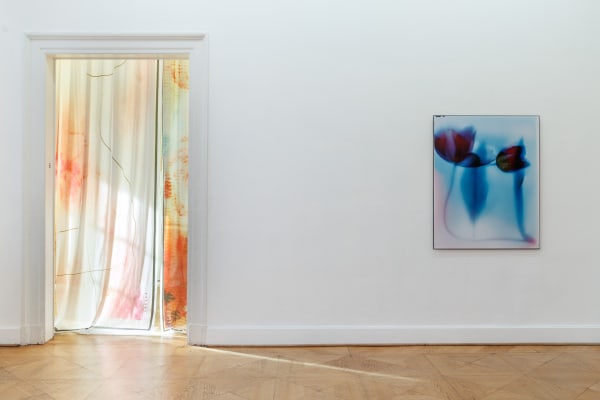 Image credit : Frank Sperling Courtesy of the artist and Kunstverein Braunschweig