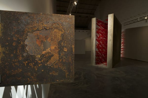 Tetanus Midas Priyanka Choudhary