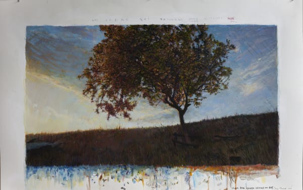 David Claerbout. spring, slowly