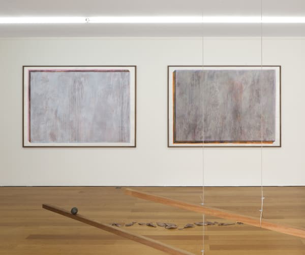 Thu-Van Tran Colors of Grey