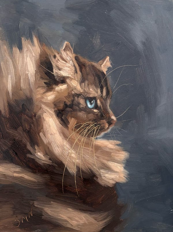 Sheila Mac Nally, Sapphire