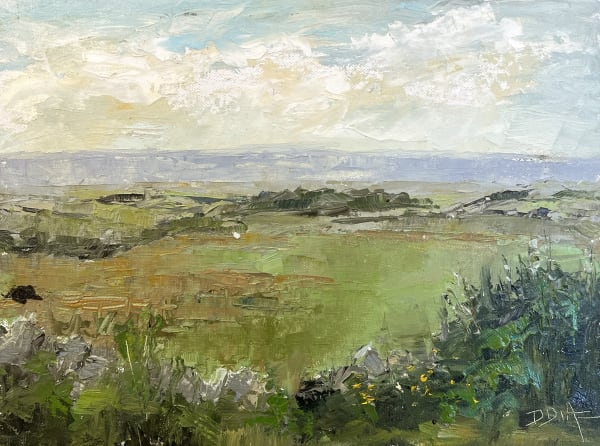 David Diaz, Irish Countryside