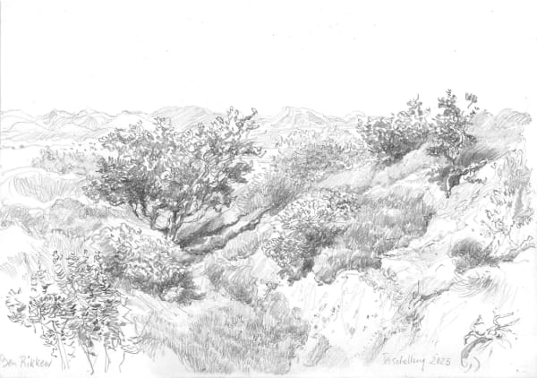 Ben Rikken, Terschelling, zomer 2025 - No.5