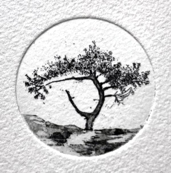 Elizabeth Boerwinkel, Lonely Tree