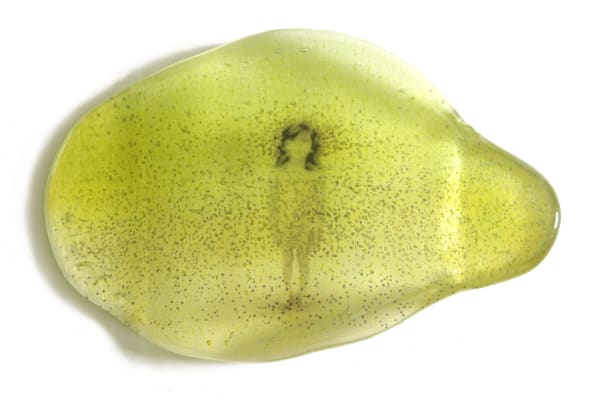 Marieke Peters, Shimmering