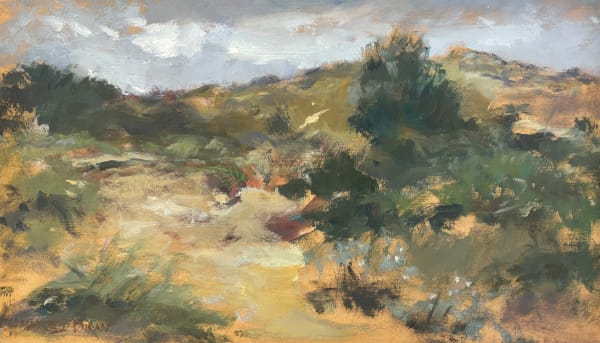 Marcel Duran, Duinpan