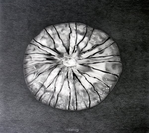 Lolkje van der Kooi, Kompaskwal