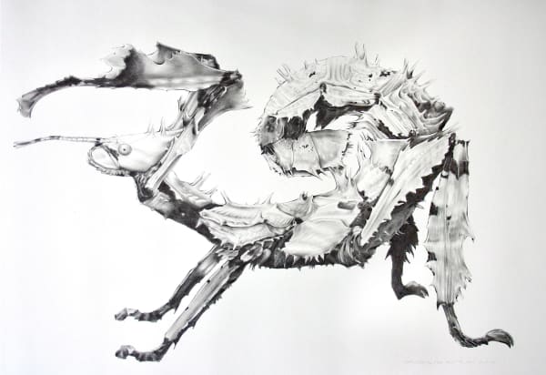 Lolkje van der Kooi, Extatosoma tiaratum / Wandelende tak