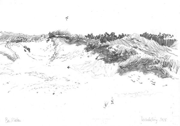 Ben Rikken, Terschelling, zomer 2025 - No.2