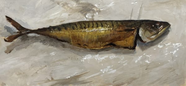 Maarten Dalstra, Mackerel