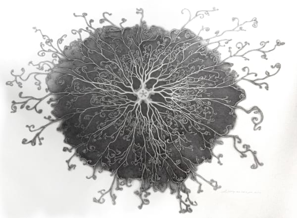 Lolkje van der Kooi, Gorgonocephalus caput medusae / Slangenster