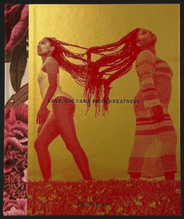 Nydia Blas’s Love, You Came from Greatness, Esteeming and celebrating the agency of representing oneself, as well as one’s entourage,...