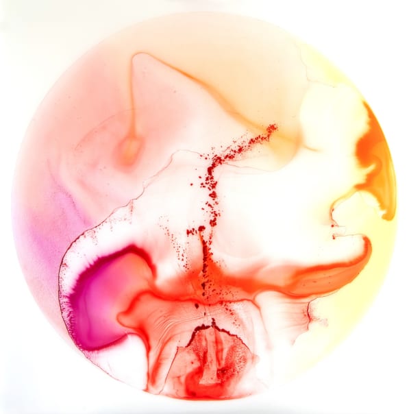 John Sabraw, Chroma S6 1, 48x48 inches, water-based paints, AMD iron oxides, acrylic resin on linen, 2019.