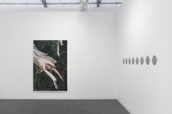 Gallery Climate Coalition booth at Frieze London 2021. Image Courtesy of Ben Westoby. Artwork: Wolfgang Tillmans Iignin duress (d), 2014 @Wolfgang Tillmans, courtesy Maureen Paley, London