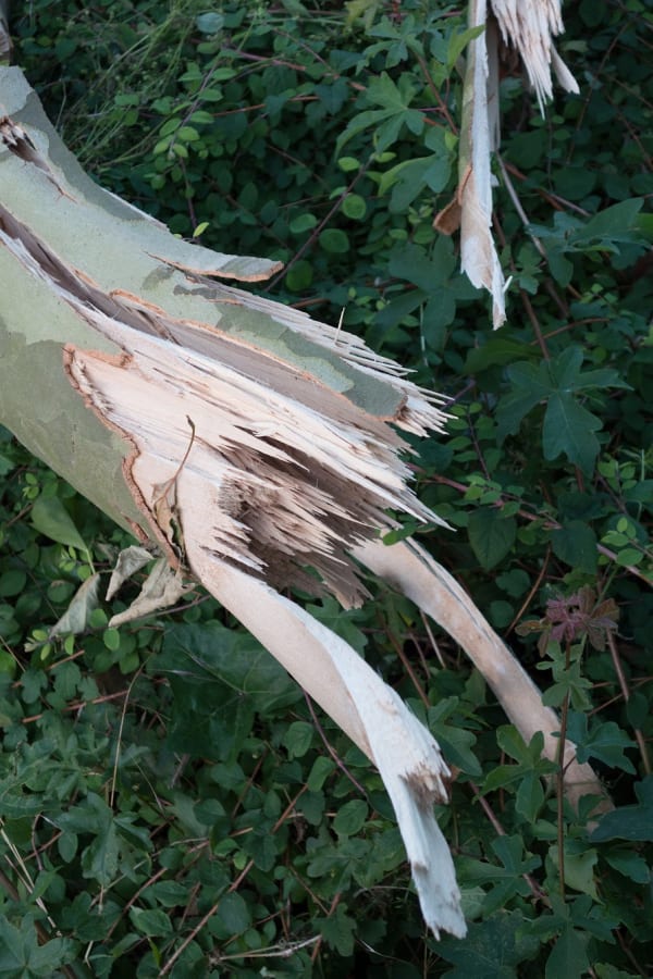 Artwork: Wolfgang Tillmans Iignin duress (d), 2014 @Wolfgang Tillmans, courtesy Maureen Paley, London