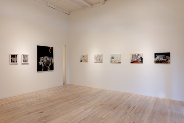 Break Maiden Maya Frodeman Jackson Hole