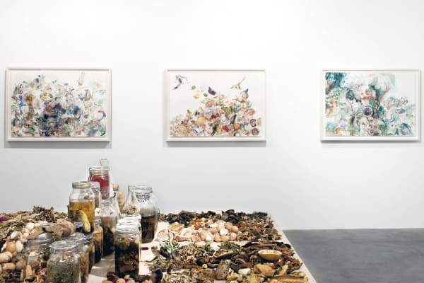 Emilie Clark | Sweet Corruptions Solo exhibition