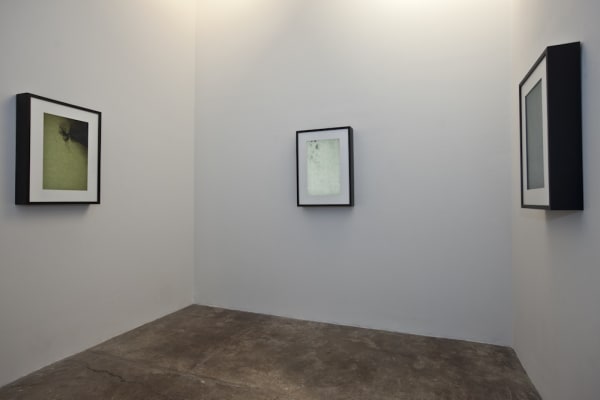 Adam Chapman Solo exhibition