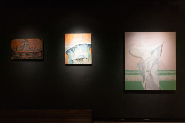 465893081 1989850358148894 4530657437794860850 N