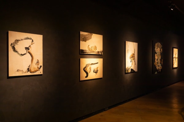 465987360 1989850171482246 3310835647831760821 N