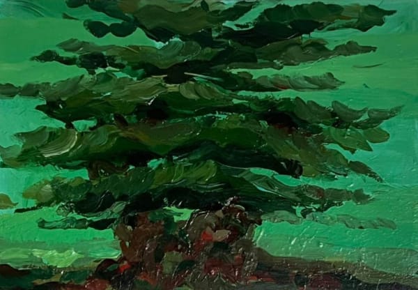 The Cedars of Lebanon Series