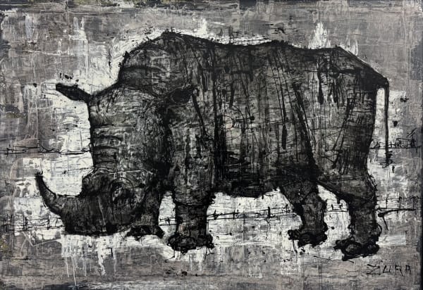 Zura, Rhino, 2025